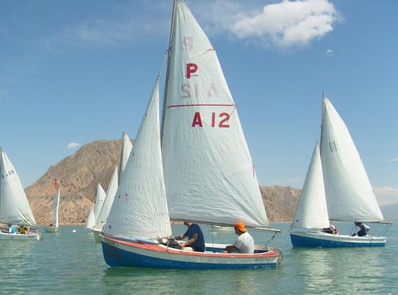 Primer Plano del Pampero